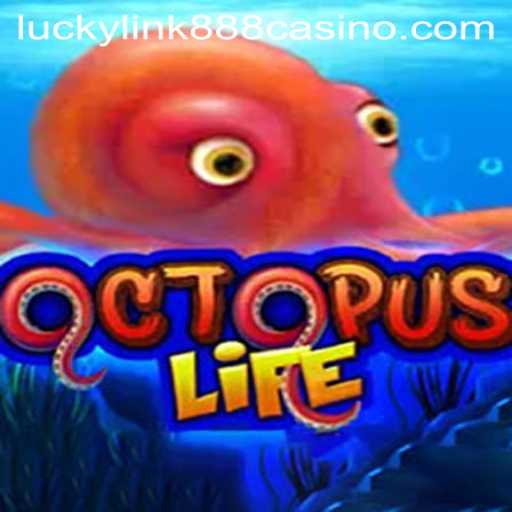 Explore the Thrilling World of OctopusLife